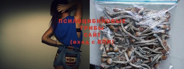 СК Абаза