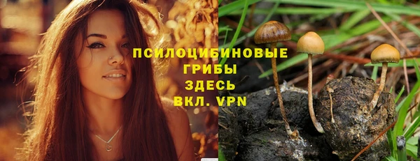 мяу мяу мука Абинск