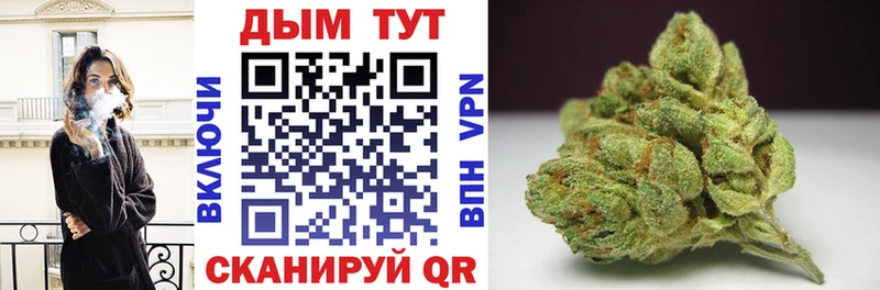 Бошки Шишки SATIVA & INDICA hydra ONION Тюмень купить